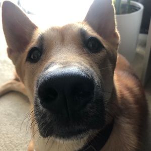 Meet your Posher, Roger